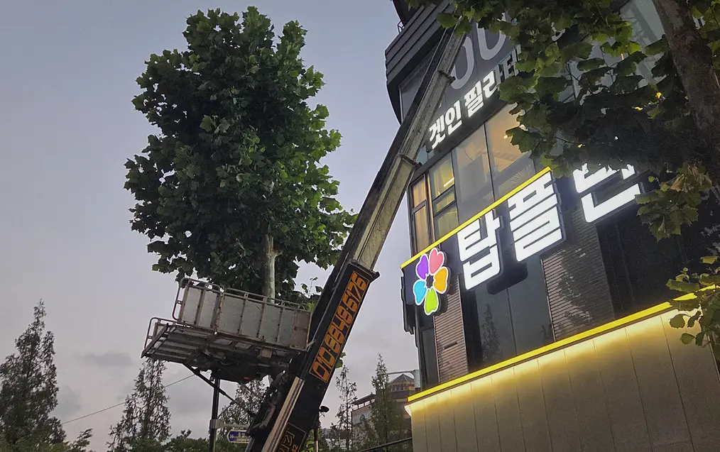 일산서구 이사 폐기물 수거업체 현장 사진 3